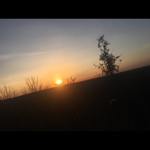 Meet your Posher, Kaley - Picture 1 of 1